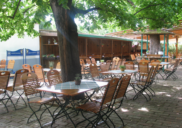 Oberlaaer Dorf Wirt Restaurant