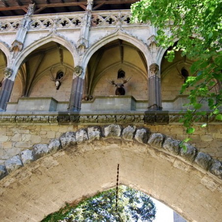 Burg Leopoldsberg