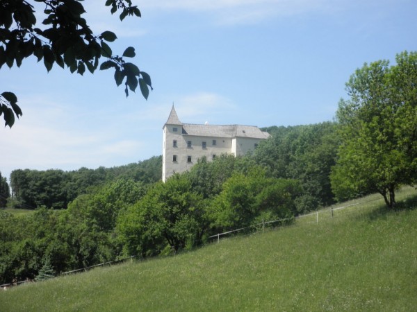 Burg Wildegg - Seminarburg