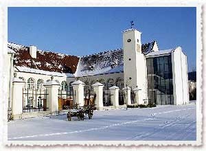 Schloss Katzelsdorf Hochzeitslocation Bankettsaal