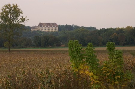 Schloss Juliusburg Hochzeitslocation Bankettsaal