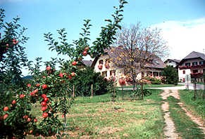 Niglbauer Bauernhof mieten, Urlaub auf dem Bauernhof