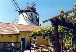 Windmühlheuriger Eventlocation mieten