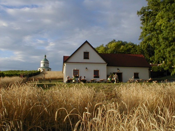 Weingut & Buschenschank Eventlocation mieten