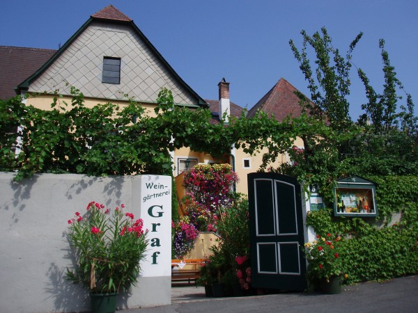 Heurigenkeller Graf Eventlocation mieten Dürnstein