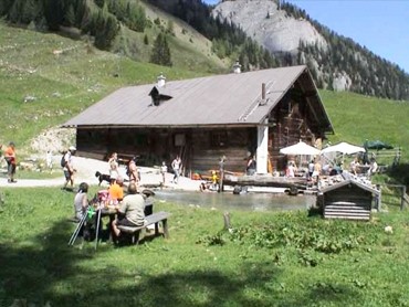 Niggeltalalm (1507 m)