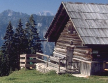 Hütteneckalm (1240 m)