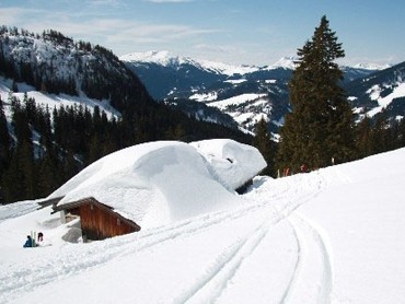 Jausenstation Hochalm (1460 m)