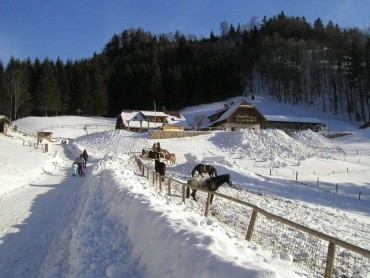 Hochsteinalm (907 m)