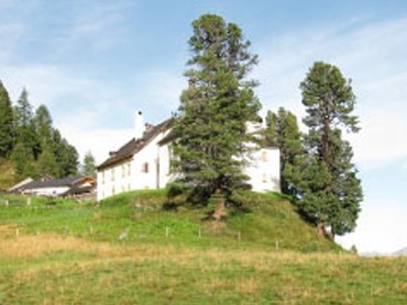 Stamser Alm (1852 m)