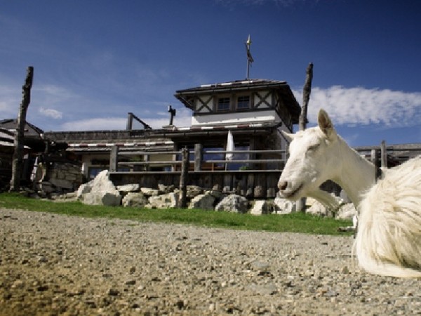 Berghütte mieten - Gamskogelhütte