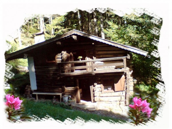 Ferienhütte Tanterleite - Almhütte mieten