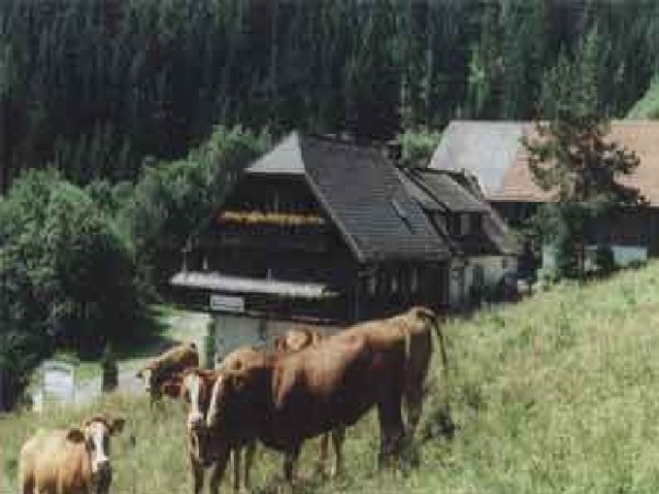 Gasthaus Feistritzsattel